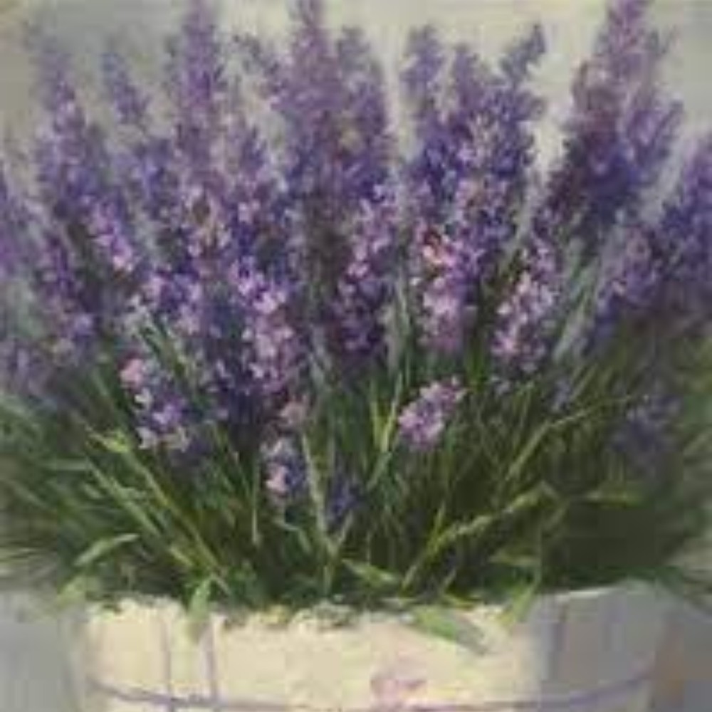 Meet your Posher, Linda